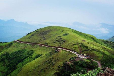 Mangalore to Chikmagalur Taxi Trip During the Coffee Blossom Season - Durga Taxi Mangalore